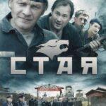 Стая Постер